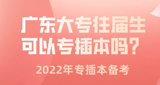 广东大专往届生可以专插本吗