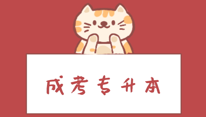 如何提高学历